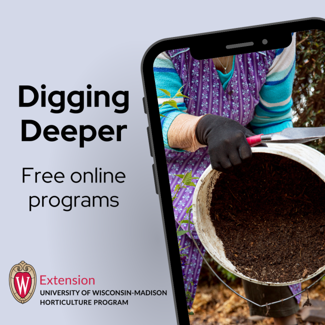 Digging Deeper Free online Programs