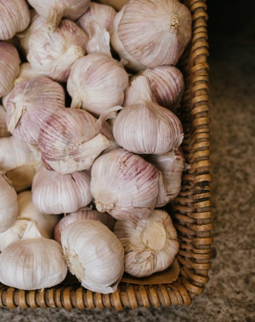 Garlic Bulbs