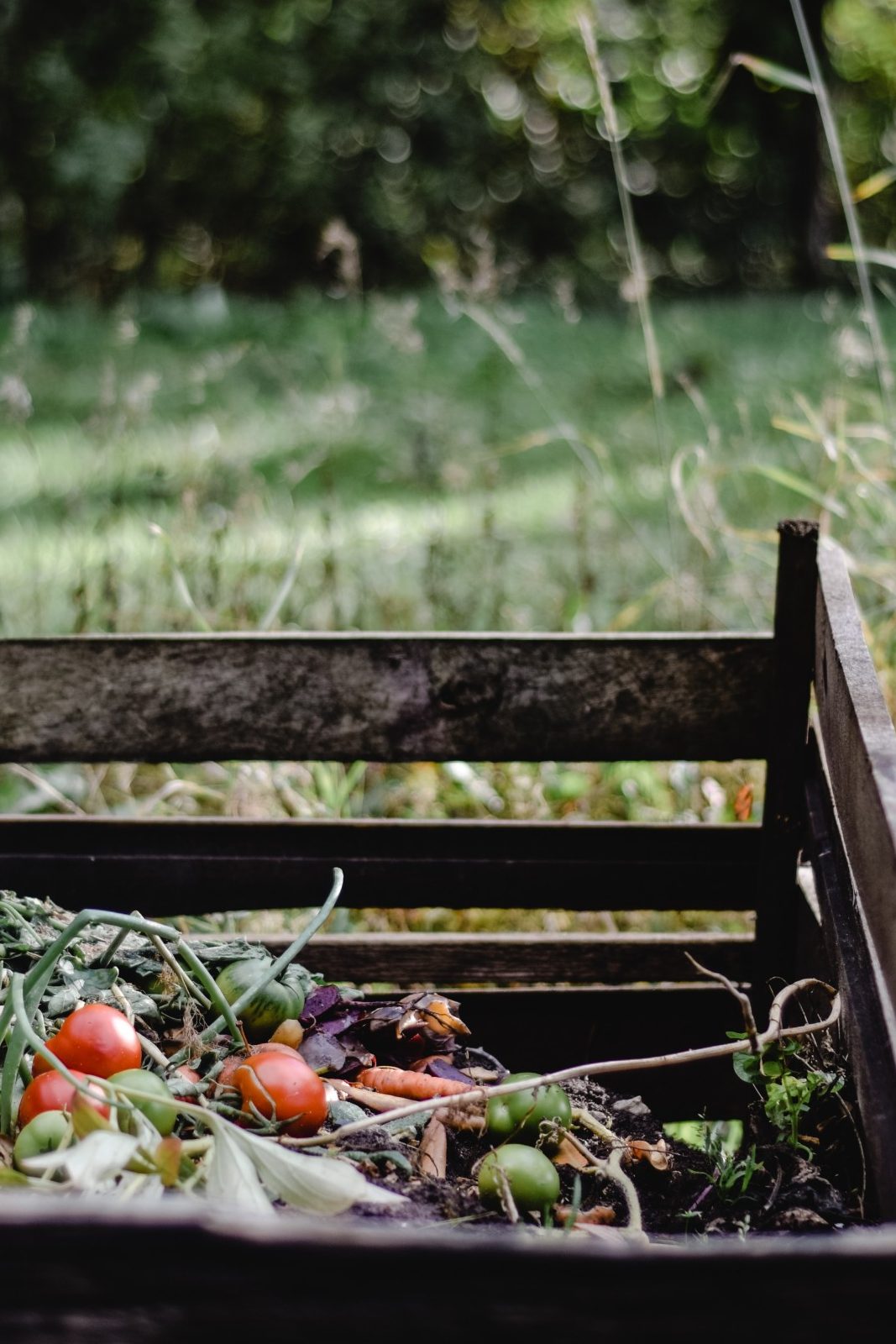 Compost box