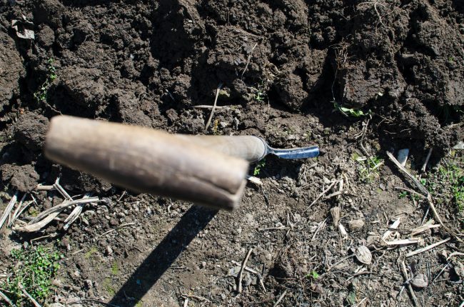 shovel in dirt