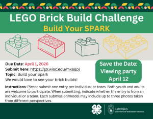 Statewide LEGO Brick Build Challenge
